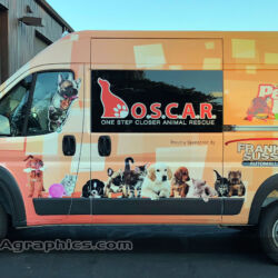 3M wrap, van wrap, vinyl graphics, fleet signs, vehicle advertising, vinyl lettering, north jersey, morris county, sussex county, kenvil nj,new jersey truck graphics